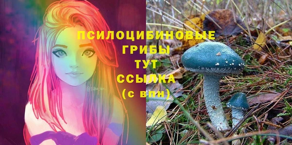 индика Горняк
