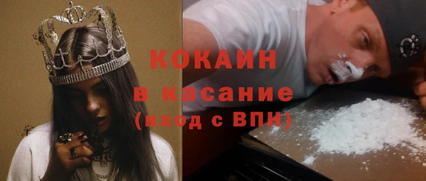 тгк Ельня