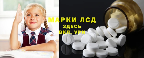 дмт Гусев