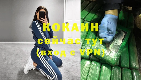 тгк Ельня