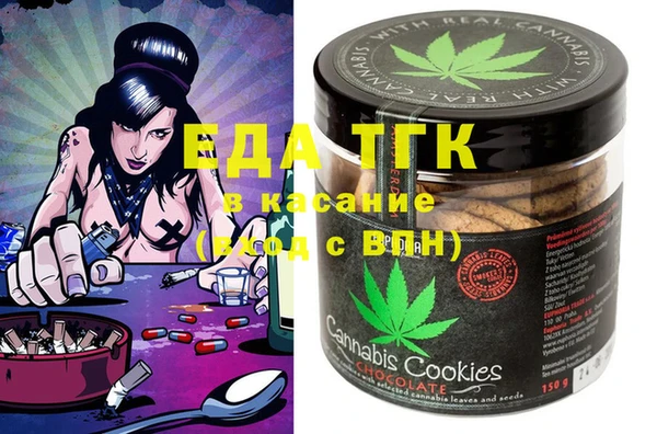 тгк Ельня