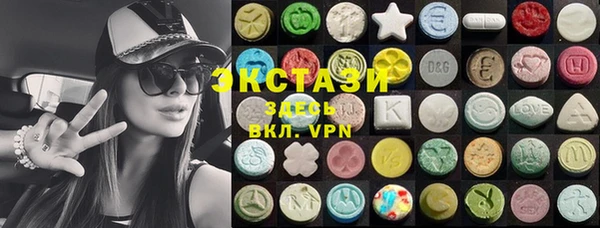 тгк Ельня