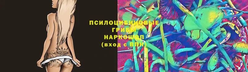 магазин    Невинномысск  Галлюциногенные грибы MAGIC MUSHROOMS 