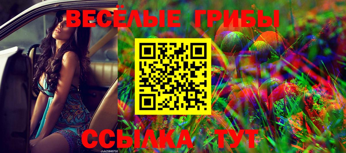 Псилоцибиновые грибы Psilocybe Невинномысск